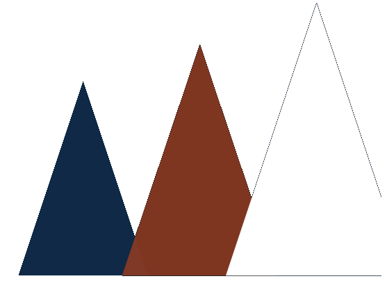 3Bi Website