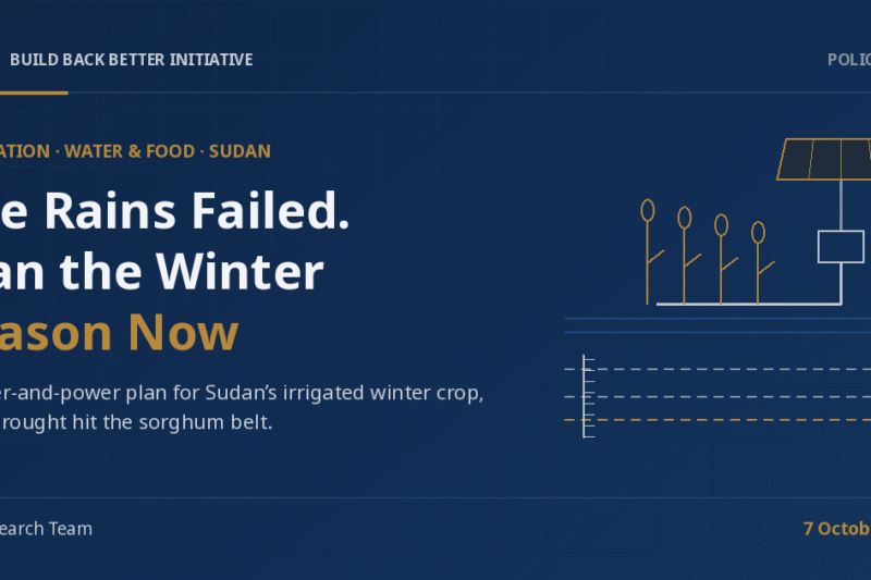 3Bi Policy Brief cover on a navy background: the headline 'The Rains Failed. Plan the Winter Season Now' beside a line drawing of a solar panel powering a pump, sorghum stalks by a canal, and dashed river-level lines that step downward.