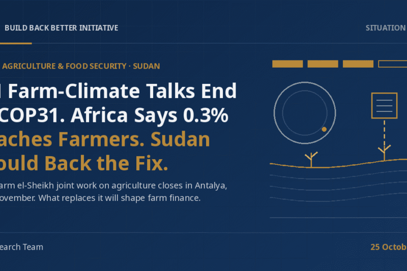 3Bi Situation Report cover on a navy background: the headline 'UN Farm-Climate Talks End at COP31. Africa Says 0.3% Reaches Farmers. Sudan Should Back the Fix.' beside abstract gold and grey line-art of a four-segment timeline bar ending in an open ring, a large grey circle with one tiny gold dot on its edge, a document square linked by a dashed gold line to curved field furrows, and three gold sprouts.