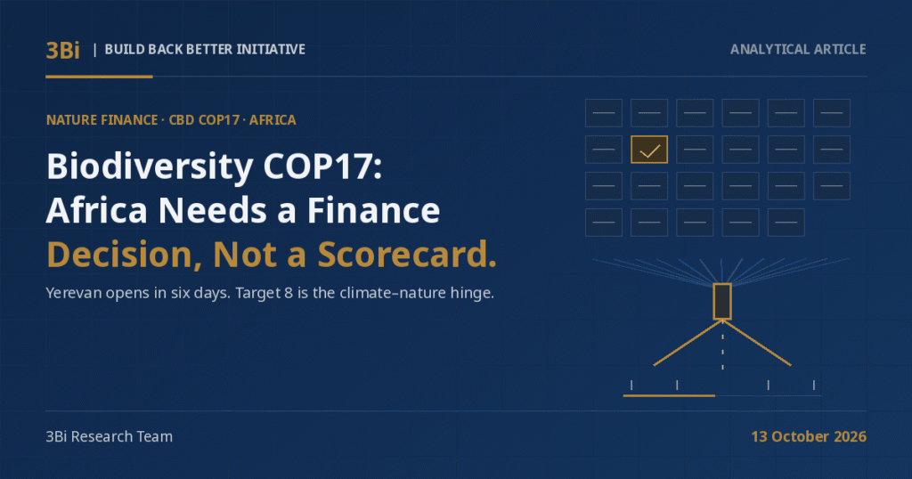 3Bi Analytical Article cover on a navy background: the headline 'Biodiversity COP17: Africa Needs a Finance Decision, Not a Scorecard.' beside abstract line-art of a 23-cell scorecard with one gold cell and finance lines converging through a narrow gold gate.