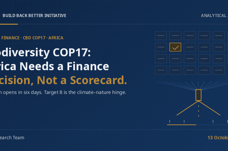 3Bi Analytical Article cover on a navy background: the headline 'Biodiversity COP17: Africa Needs a Finance Decision, Not a Scorecard.' beside abstract line-art of a 23-cell scorecard with one gold cell and finance lines converging through a narrow gold gate.